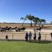 Big changes in SA harness racing
