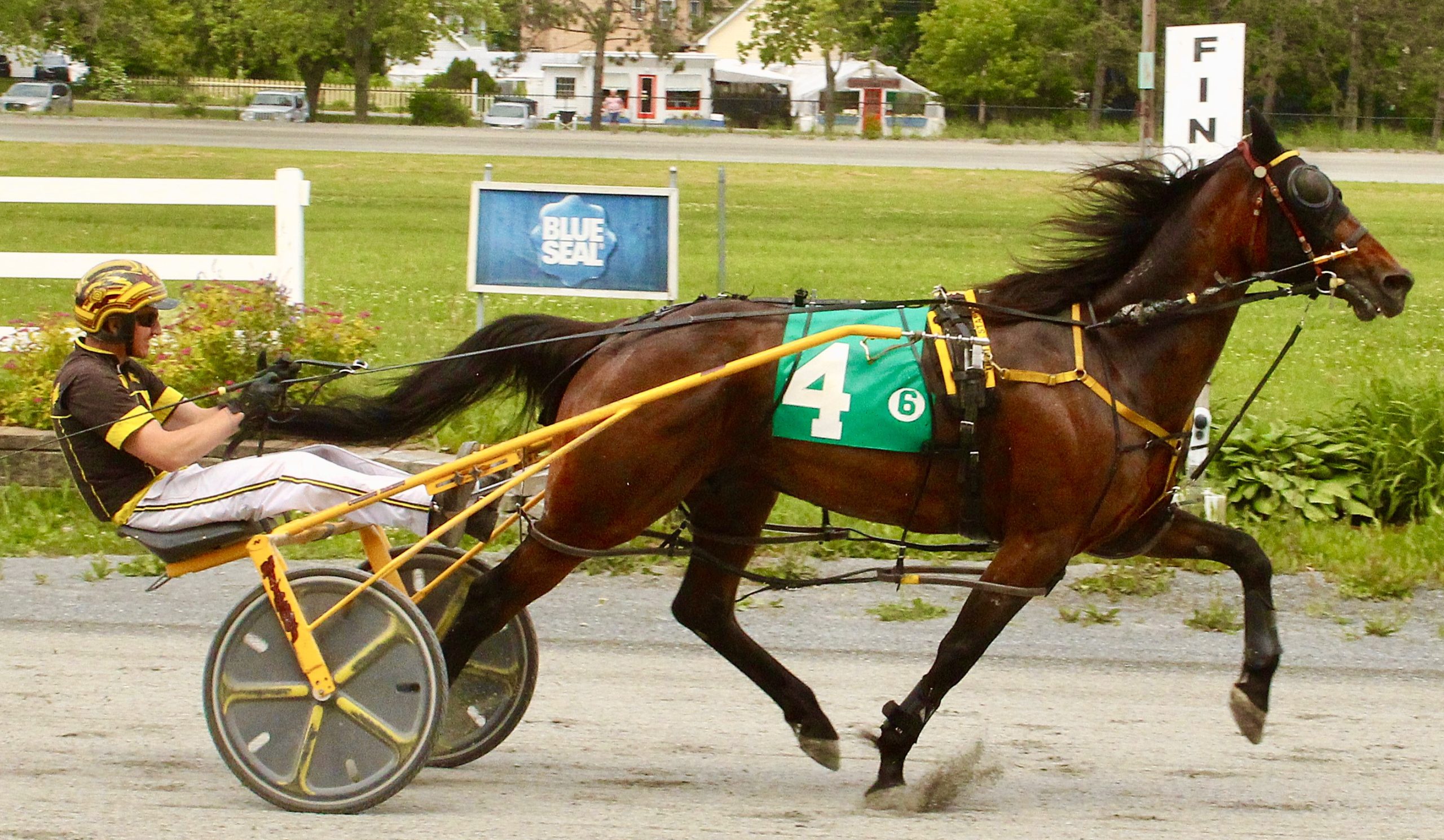 Steven Wilson cruises in Cadillac Mountain Series 1