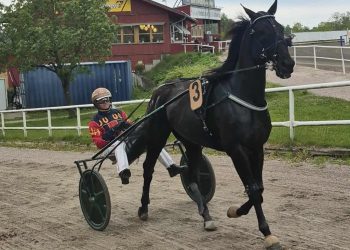 Herbertson back in the bike after overseas tour