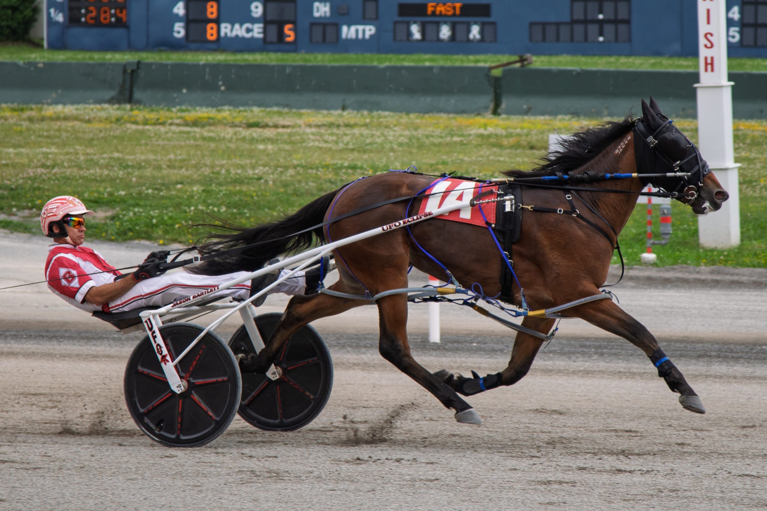 Liberty Style demolishes rivals in style in $112,100 NYSS 1