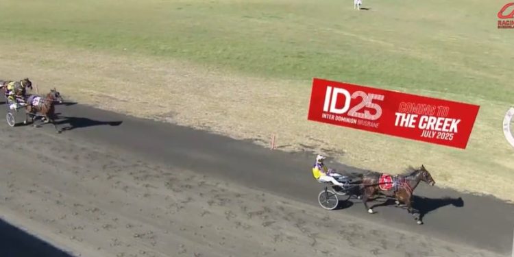 Hobby trainer doubles up — from 150km away! 3