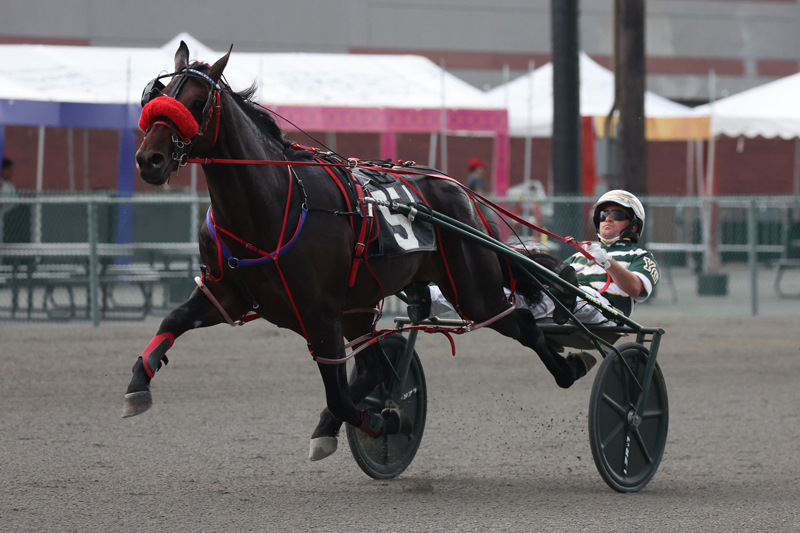 American Ideal colt wins $77,300 pari-mutuel debut 1