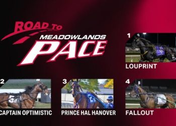 New names on Dave Little’s 2025 Road to the Meadowlands Pace