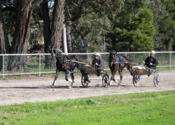 A son’s wish, a dad’s triumph and a tick off the bucket list