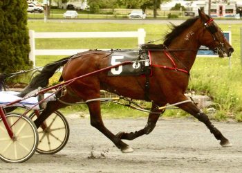 Sisters sizzle sibling-style at Bangor