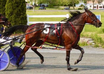 Switzer, Jr wins three consecutive races