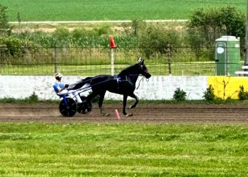 Luka wins Jake Saner Memorial