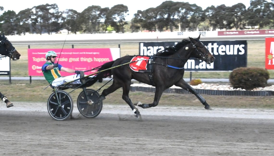 A son’s wish, a dad’s triumph and a tick off the bucket list 2