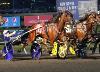 Lazarus N filly captures $48,000 NJ Standardbred Developement Final