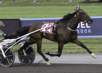 Champion trotting mare Call Me Goo retires
