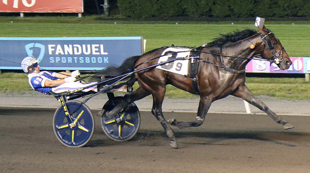 Periculum clinches $164,000 Crawford Farms Open Trot 1