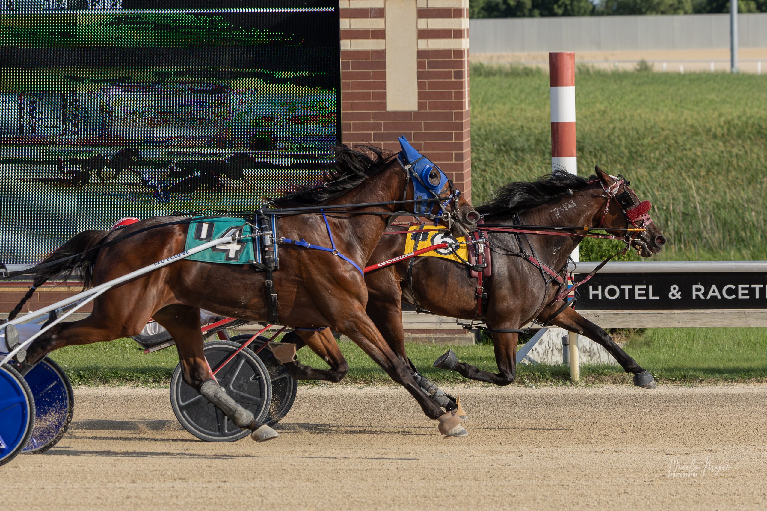 Peanutbutterfalcon remains razor sharp 1