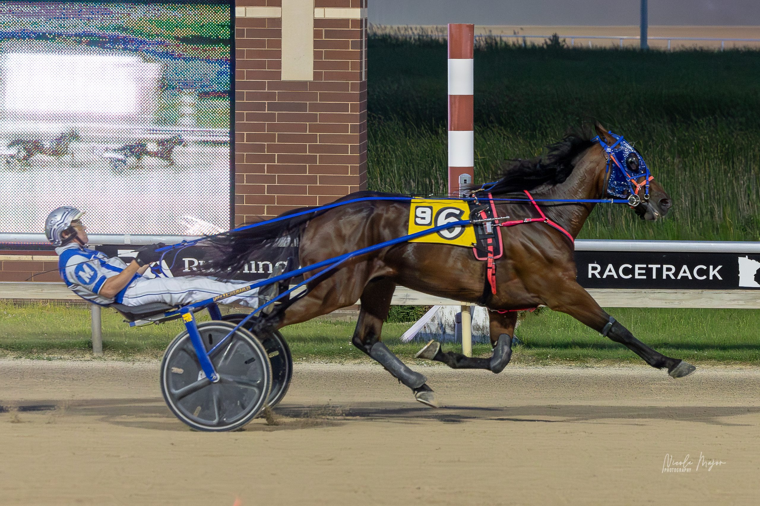 Peanutbutterfalcon remains razor sharp 2