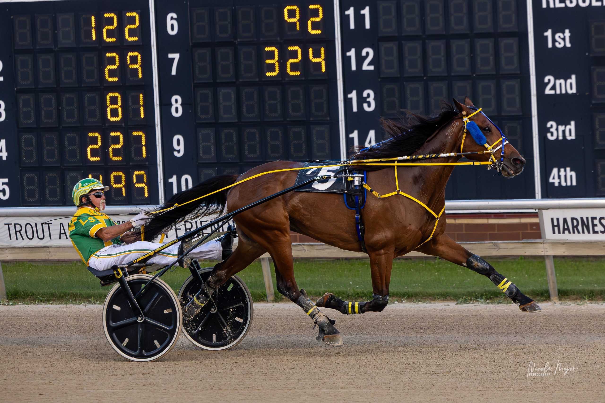 All Champy, He'zzz A Wise Sky take Aces major events 1