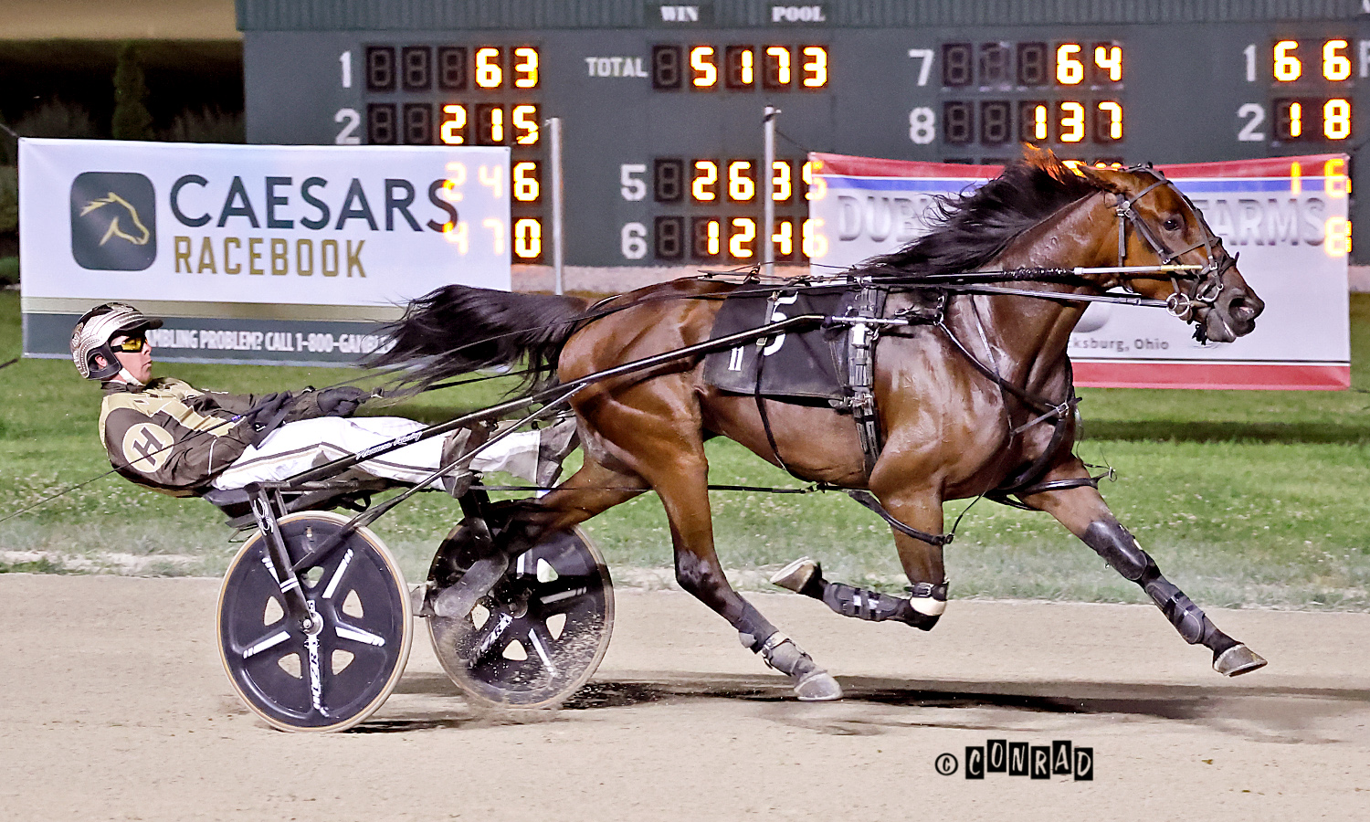 Four first-time series winners in BSS third leg 1