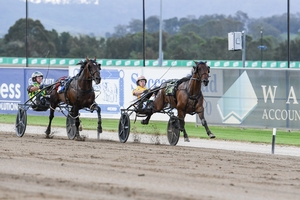 Rixon on an Inter Dom quest with ‘Million-Dollar Max’