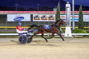 Ravishing Ruby sets 2YO Fillies state record on debut