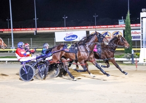 Lather Up 2yo chasing biggest win of his career