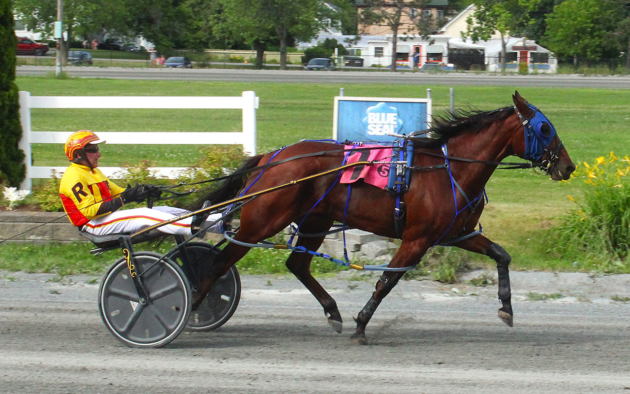 Massive Speed takes third Maine Sire Stake 1