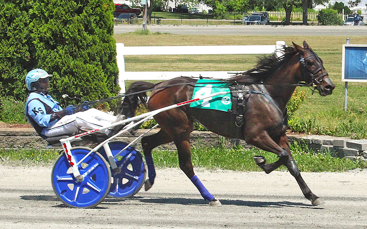 Barbella powers to third Maine Sire Stake victory 2