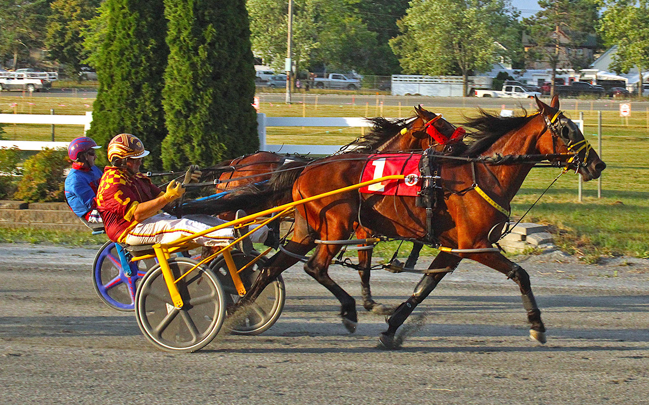 Maine’s 3yo filly pacers shine at Bangor Fair 1