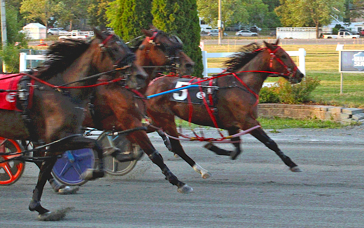 Maine’s 3yo filly pacers shine at Bangor Fair 2