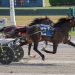 AI breaks long standing track record in NYSS win 2