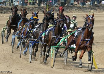 OHHA to Live Stream from Trumbull County Fair