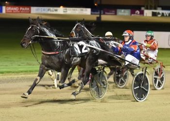 All Cashed Up to stand at Wai Eyre Farm in 2025