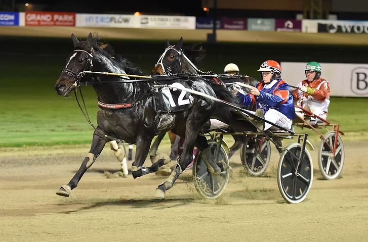 All Cashed Up to stand at Wai Eyre Farm in 2025 1