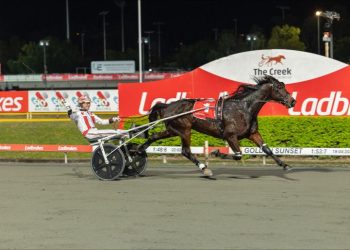 Arcee Phoenix all the way in $500,000 Inter Dominion Trotters Final