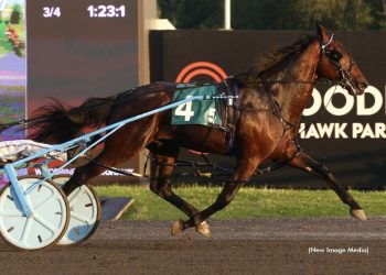 Cattlewash sweeps first Ontario Sires Stakes Gold races