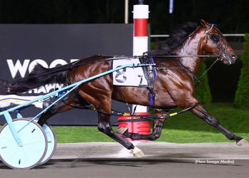 $140,000 Gold event to Beau Jangles