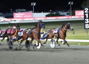 Bet N Win stakes big claim for Inter Dominion Trotters glory