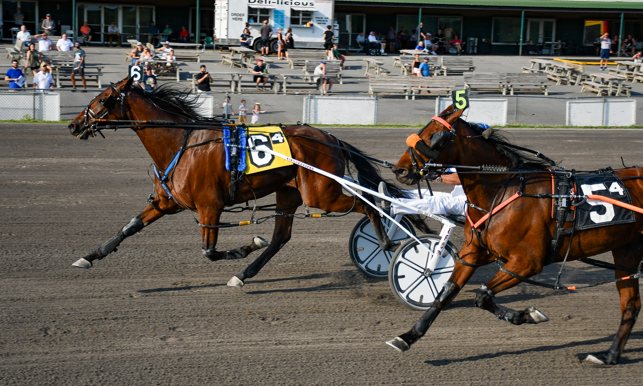 Huntsville gelding tracks down the winning post at Vernon 1