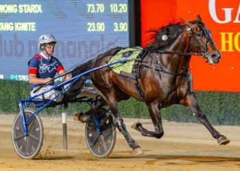 Callmethebreeze retires to stud