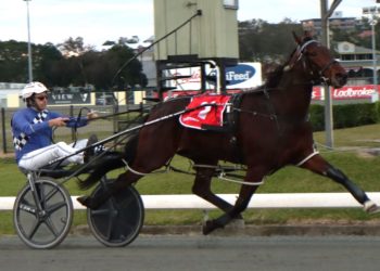 Captains Mistress Rising Sun Consolation success of little comfort