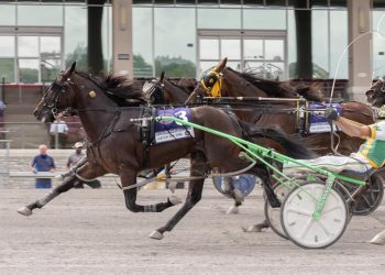 Adios Day ‘electric’ to Meadows-based Wilder