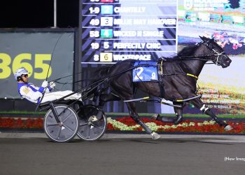 Chantilly stays perfect with OSS Gold Victory