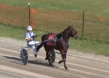 Marathon fair session completed at Clearfield