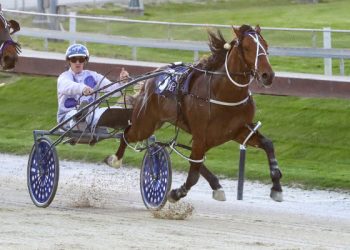 Big guns get set to spring