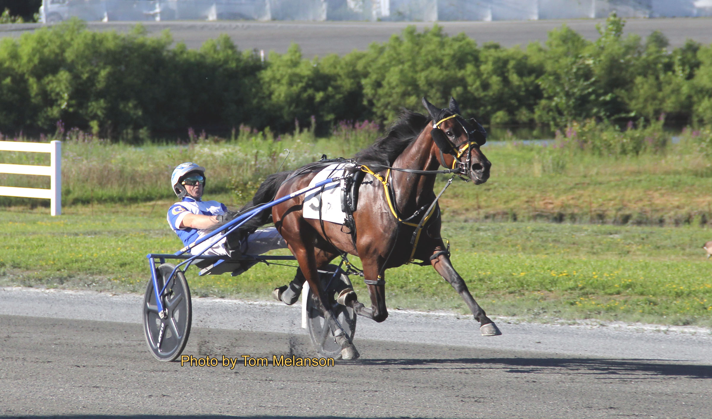 Corner Store, McStoned Again win $17,500 splits 1