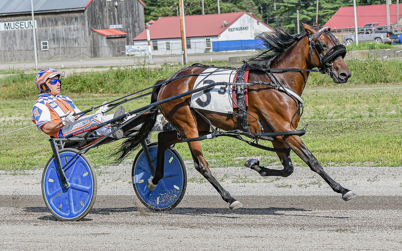 2-year-old filly pacers frolic in Maine Sire Stakes 2