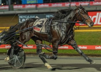‘Singo’ locks in exciting 3YO for TAB Eureka tilt