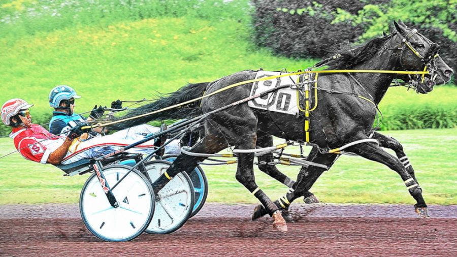 Bartlett back for NYSS action 2