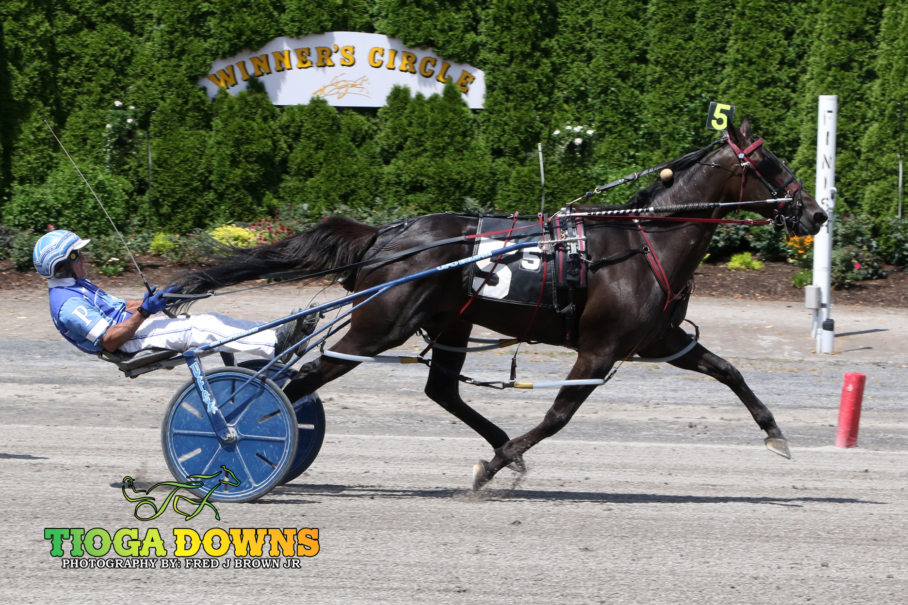 De La Hoya Hanover charges late to win 1