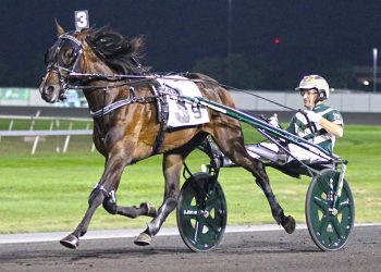 Crawford Farms bred three $500,000 Hambo Oaks starters