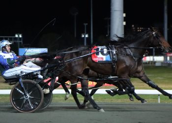 Don Hugo looking good in Inter Dominion Heat success