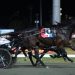 Don Hugo looking good in Inter Dominion Heat success