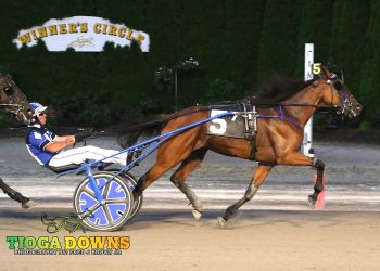 Three winners for Merton, Harmon